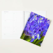 Fleurs d'Iris (Devant avec enveloppe)