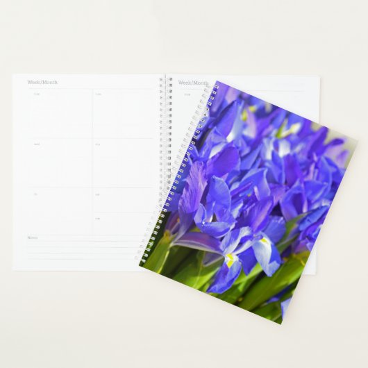 Fleurs d'Iris (Devant avec enveloppe)