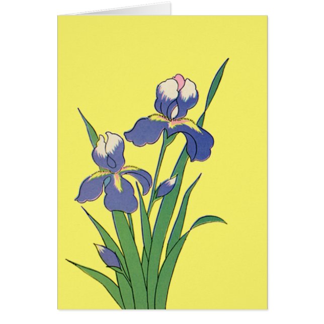 Fleurs d'iris de jardin de printemps florales vint (Devant)