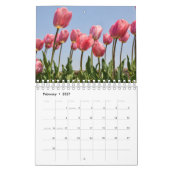 Fleurs du calendrier (Feb 2027)