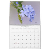 Fleurs du Calendrier SoCal de Californie du Sud (Jan 2026)