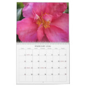 Fleurs du Calendrier SoCal de Californie du Sud (Feb 2026)