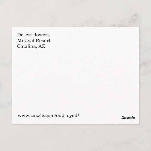 Fleurs du désert Carte postale (Dos)