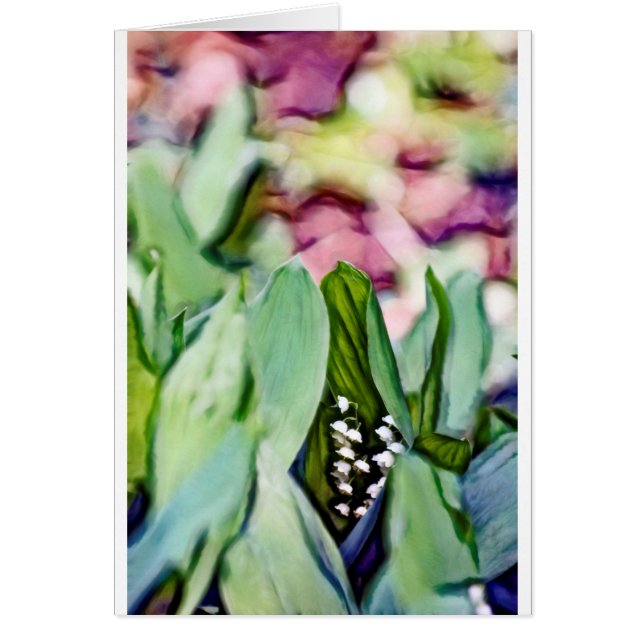 Fleurs du muguet cachées dans le feuille (Devant)