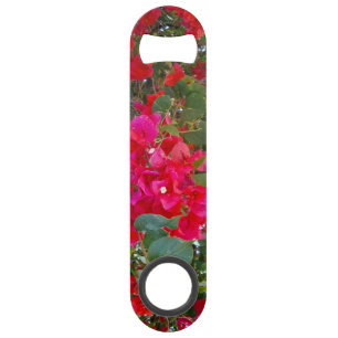 Fleurs écarlates : Danse des bougainvillées rouges