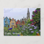 Fleurs en Cobh, Irlande Carte postale (Devant)