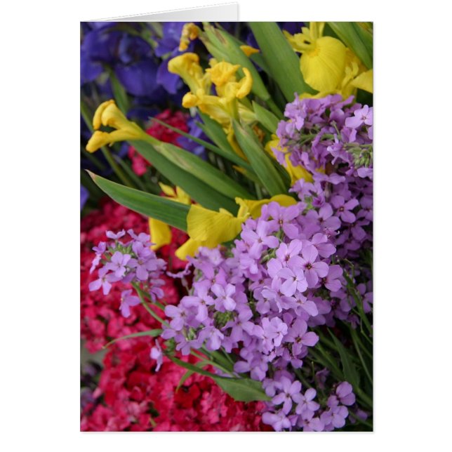 Fleurs en plusieurs couleurs (Devant)