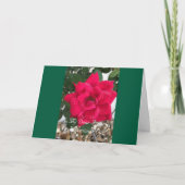 Fleurs et couleurs, ami, carte de la Saint-Valenti (Devant)