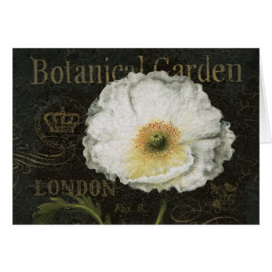 Fleurs et feuille blancs