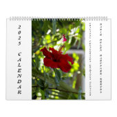 FLEURS ET FLEURS D'OMBRE 2025 CALENDRIER (Protection)