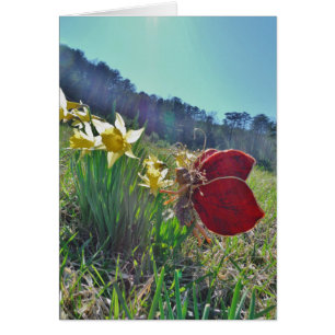 Fleurs et fleurs jaunes