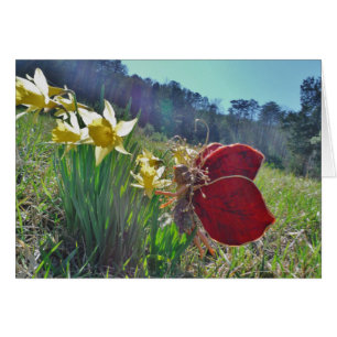 Fleurs et fleurs jaunes