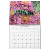 fleurs et insectes Calendrier 2013 (Jan 2027)