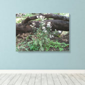 Fleurs et toile de journal Emballé (Insitu (Plancher de Bois))