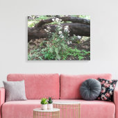 Fleurs et toile de journal Emballé (Insitu(Salon))