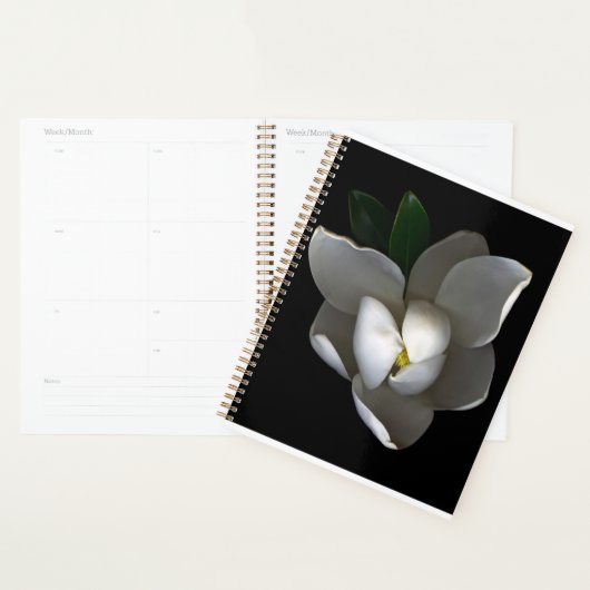 Fleurs | Fleur de Magnolia blanc unique (Devant avec enveloppe)