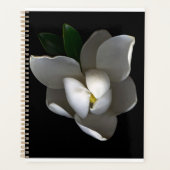 Fleurs | Fleur de Magnolia blanc unique (Devant)