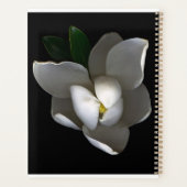 Fleurs | Fleur de Magnolia blanc unique (Dos)