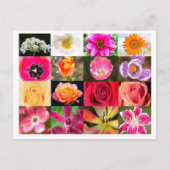 Fleurs, Fleurs Partout Carte Postale (Devant)