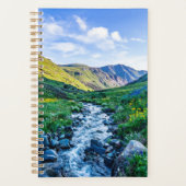 Fleurs | Fleurs sauvages en Colorado (Devant)