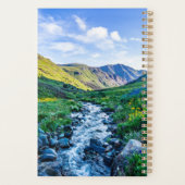 Fleurs | Fleurs sauvages en Colorado (Dos)