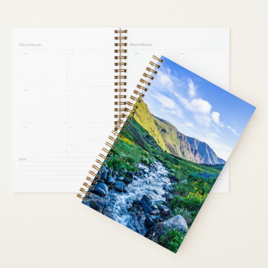 Fleurs | Fleurs sauvages en Colorado (Devant avec enveloppe)