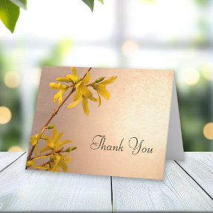 Fleurs Forsythia Printemps Jaune Merci Note