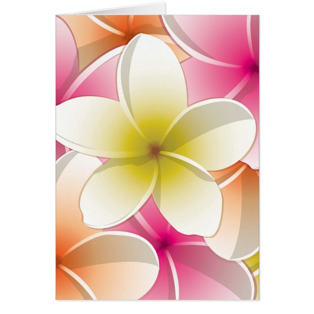 Fleurs frangipani/Plumeria (Devant)