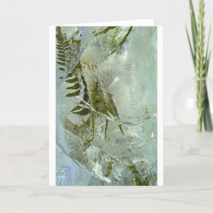 Fleurs glacées, carte