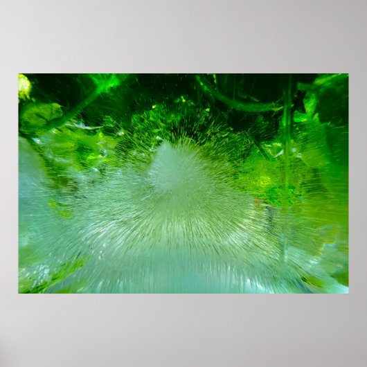 Fleurs glacées, Poster (Devant)