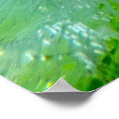 Fleurs glacées, Poster (Coin)