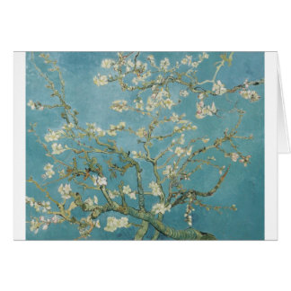 Fleurs Gogh Branches Fleurs d'Amandier Nature
