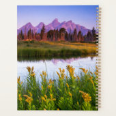 Fleurs | Grand Teton National Park, Wyoming (Dos)