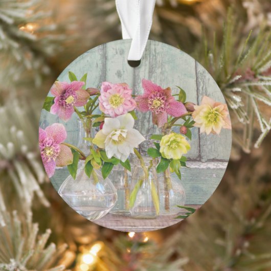 Fleurs | Hellebores dans Vases (Arbre)