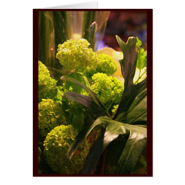 Fleurs hollandaises (Devant)