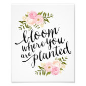 Fleurs | Impression d'art (Devant)