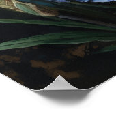 Fleurs Iris Bleues Poster d'impression (Coin)