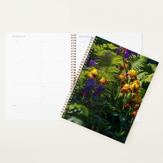 Fleurs Iris Soleil Jardin Plantes de foune (Devant avec enveloppe)