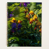 Fleurs Iris Soleil Jardin Plantes de foune (Devant)