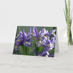 Fleurs Iris Violet Carte de voeux photo