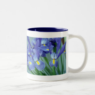 Fleurs Iris Violettes Photo Art Café Mugs