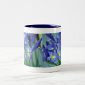 Fleurs Iris Violettes Photo Art Café Mugs (Centre)