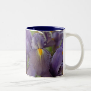 Fleurs Iris Violettes Photo Art Café Mugs