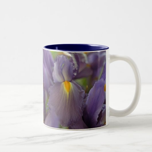 Fleurs Iris Violettes Photo Art Café Mugs (Droit)