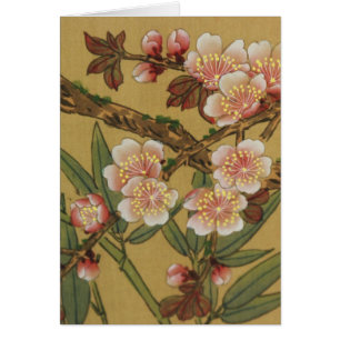 Fleurs Japonaises Asiatiques Fleur de Cerisier Vin