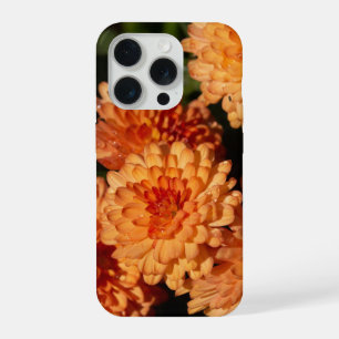 Fleurs jaunes colorées