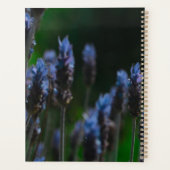 Fleurs lavande bleu pastel violet (Dos)