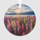 Fleurs | Lupines Nouvelle-Zélande (dos)