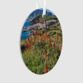 Fleurs | Madeira Island Portugal (devant)