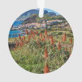 Fleurs | Madeira Island Portugal (dos)